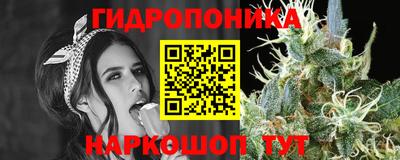 сатива Пугачёв