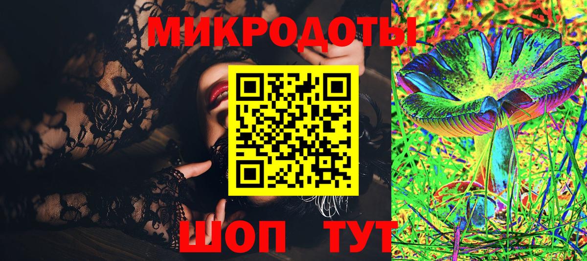 Псилоцибиновые грибы Psilocybe Алексин