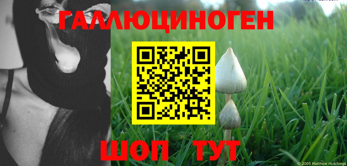 Галлюциногенные грибы MAGIC MUSHROOMS  Вход с VPN  Галлюциногенные грибы мицелий  Алексин 